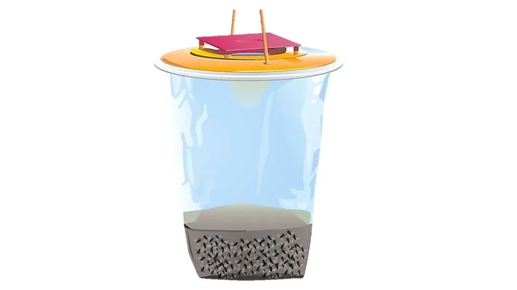 Fly trap, size L, 3 l - disposable trap