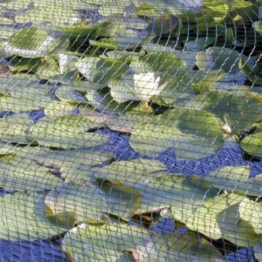 Leaf protection net - 5 x 6 m