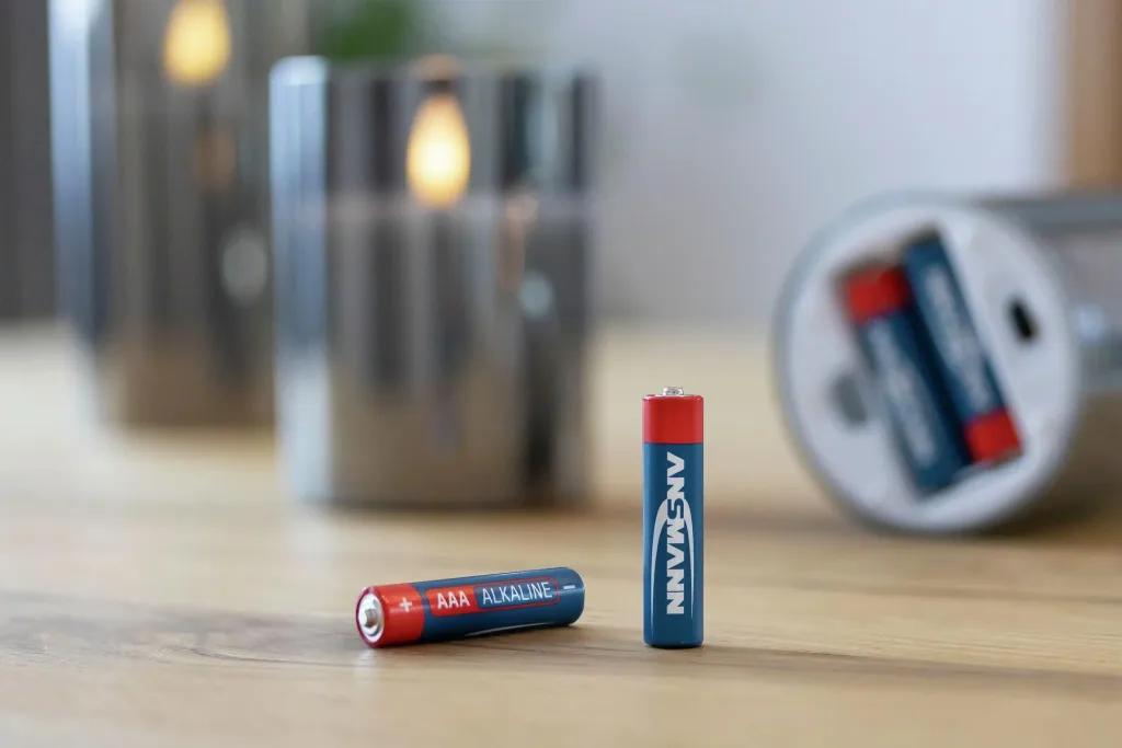 Alkaline Micro (AAA) Batteries - 20 Value Pack