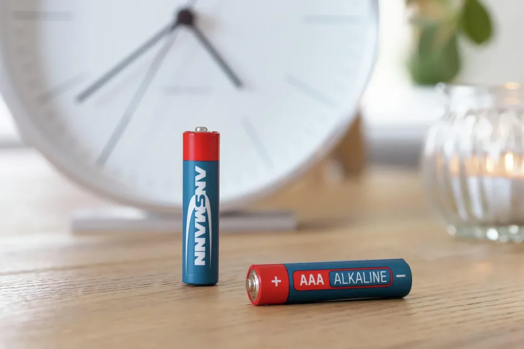 Alkaline Micro (AAA) Batteries - 20 Value Pack
