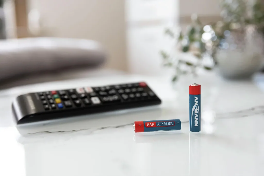 Alkaline Micro (AAA) Batteries - 20 Value Pack