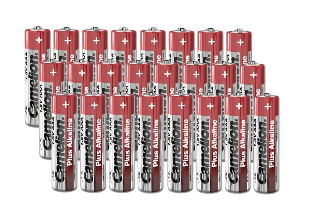 Plus Alkaline Micro (AAA) Battery - 24 pieces