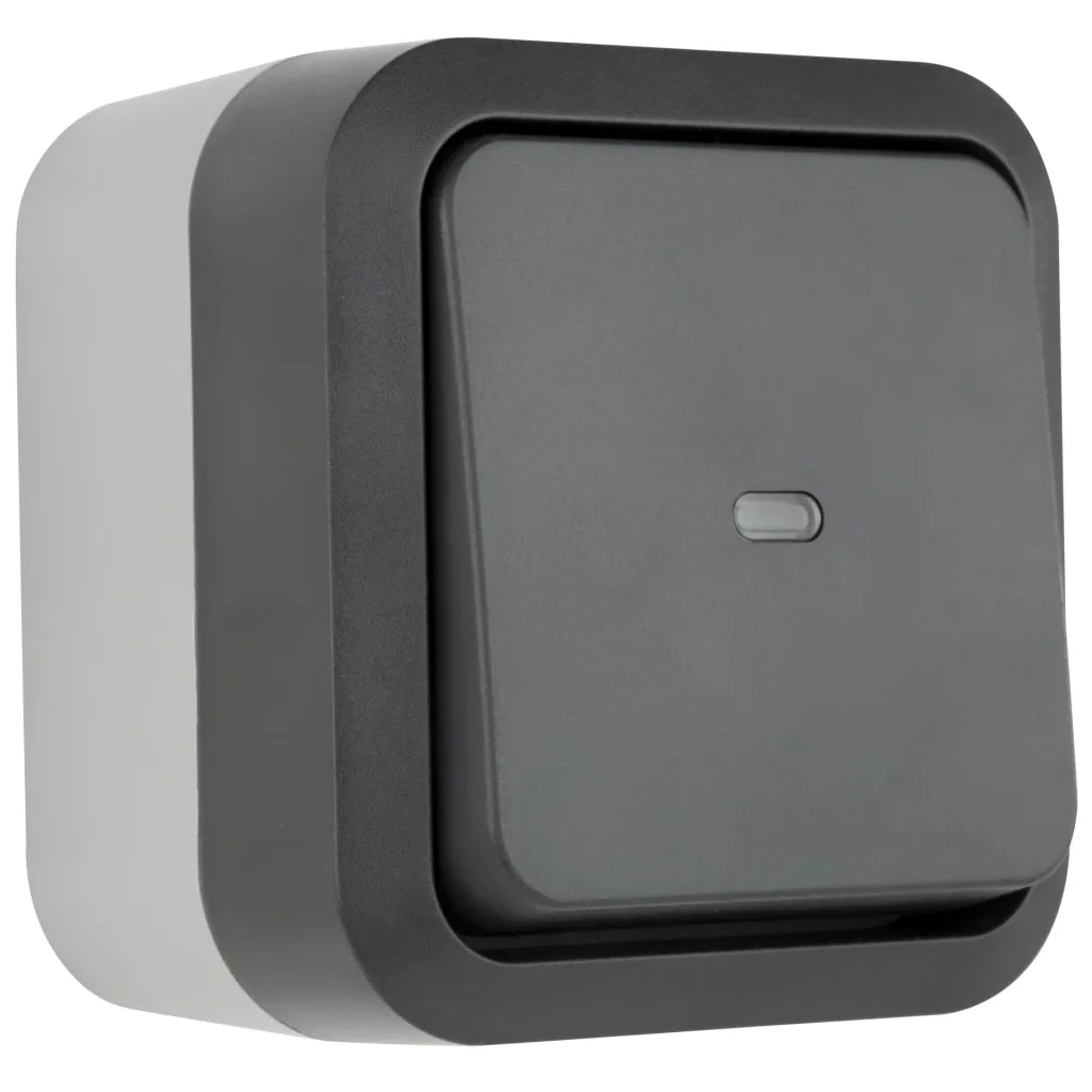 Surface-mounted damp-room control switch with glow lamp IP55