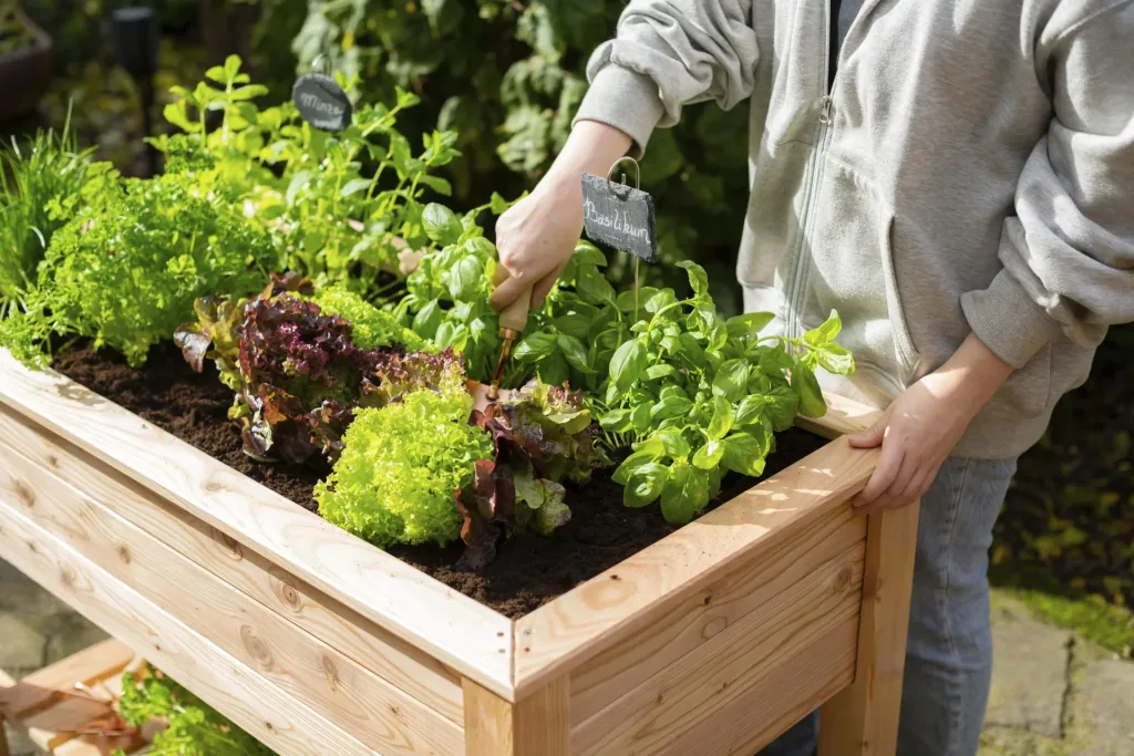 Westmann Emily Raised Garden Bed with Base