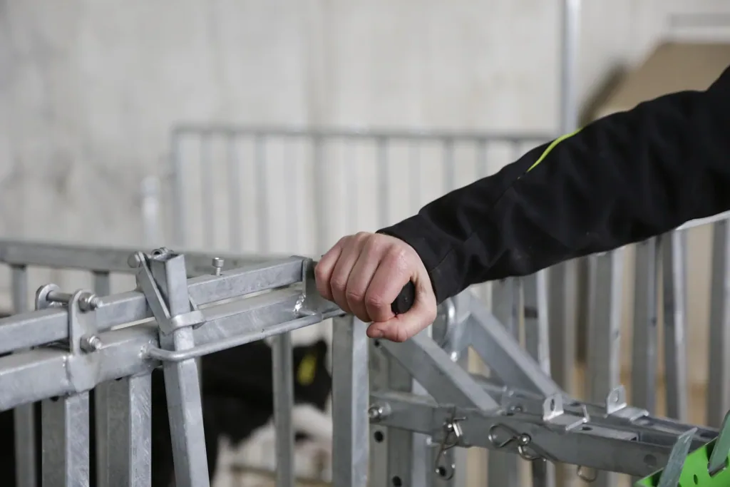 Catch grid with 5 feeding places for modular fence housing