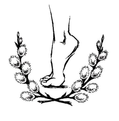 Callus balm, 30 ml