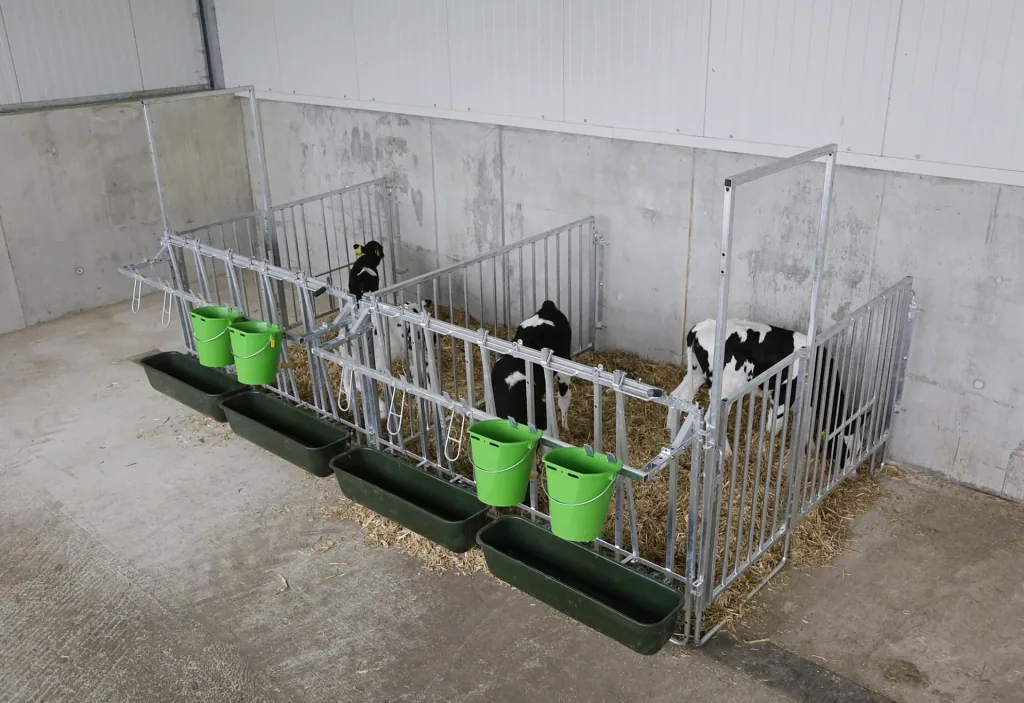 Modular fence housing, single set for a group of 3 calves