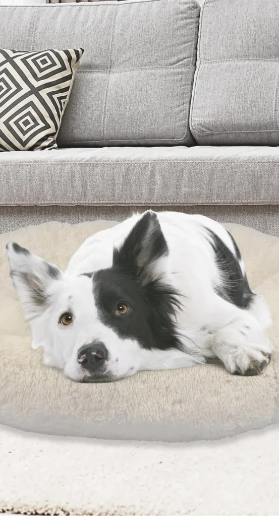 Peaceful Pooch dog bed size S