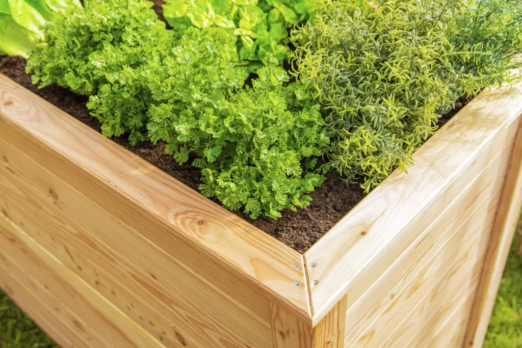 Raised Bed Klassik 130, 130×65×84 cm, Natural – FSC Larch Wood, Back-Friendly