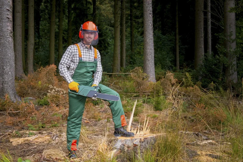 Cut protection safety starter set: trousers size 52, helmet, gloves