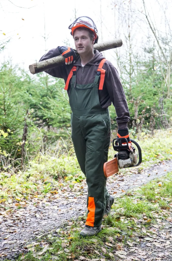 Forester chainsaw gloves size 11/XXL
