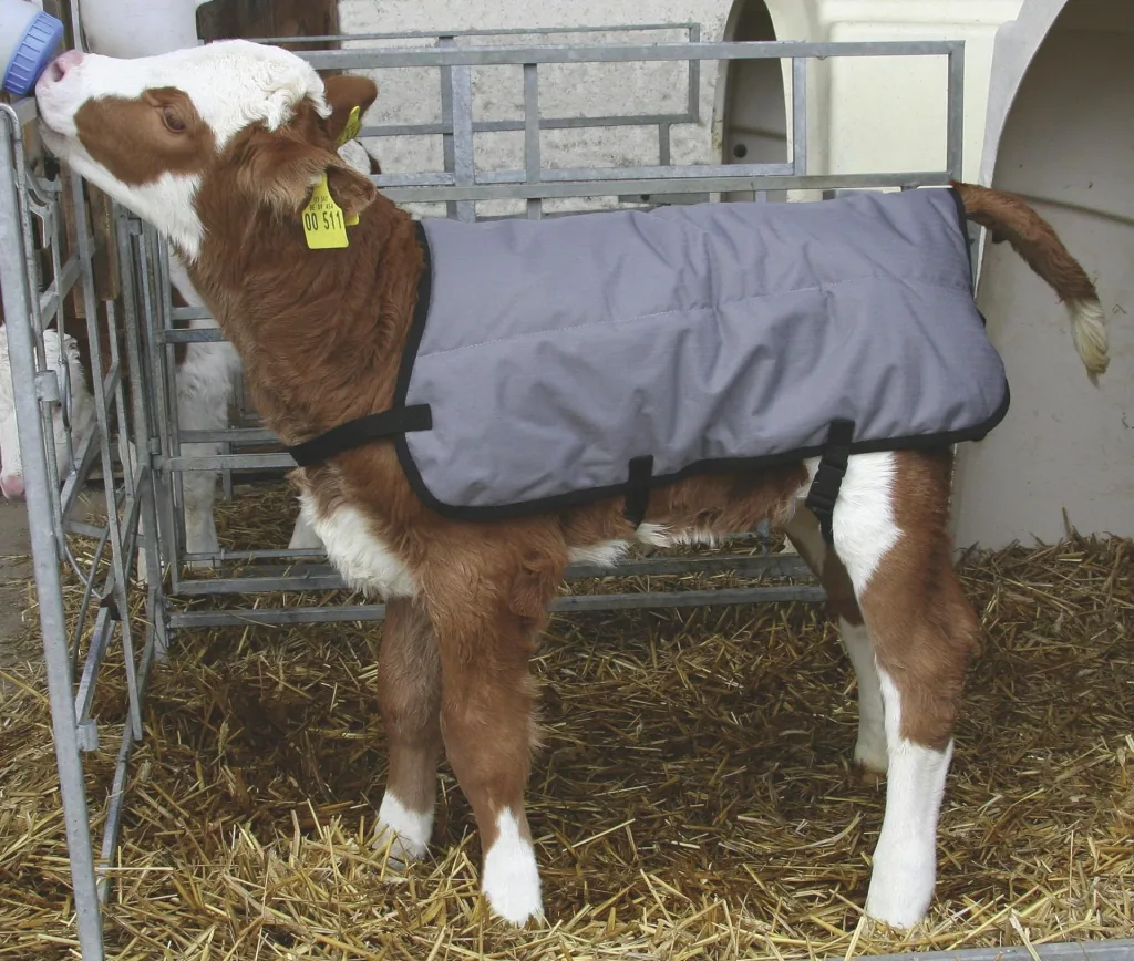 Calf blanket ripstop, 80 cm