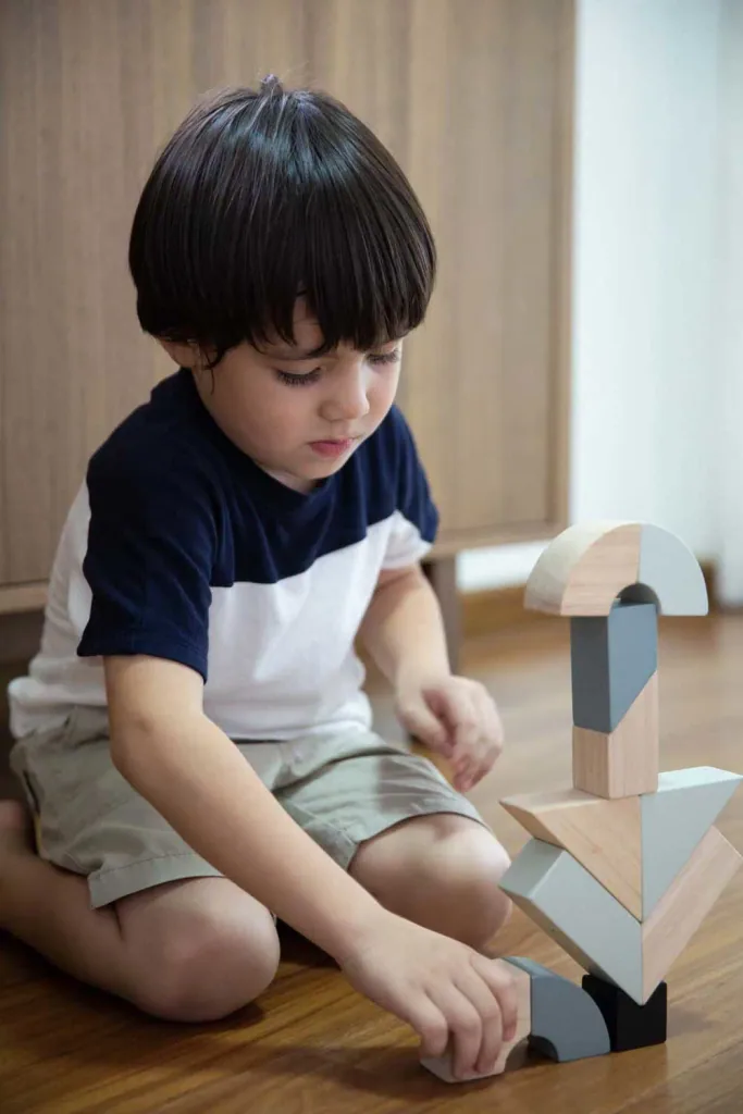 Plan toys rotatable wooden blocks gray black wood