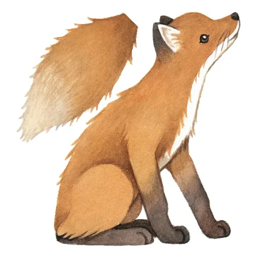 Lilipinso Wall Sticker Big Fuchs Orange