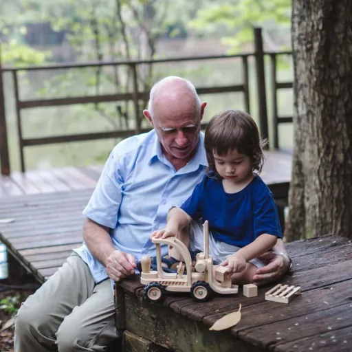 Plan Toys forklift wood nature