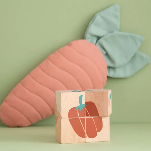 Nobodinoz wooden blocks / puzzle vegetables