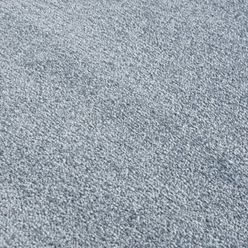 Livone carpet around university blue