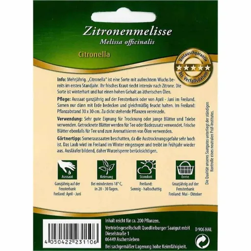 Lemon Balm Plant, Citronella Plant, Perennial Herb - Grow Your Own!