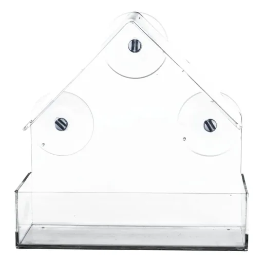 Bird Feeder for the Window Pane