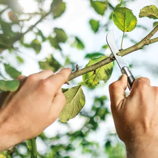 Gardening Hippe Knife for Pruning and Grafting