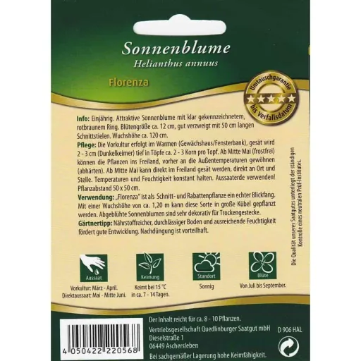 Buy Sunflower Seeds: Florenza Sunflower, Annual Variety