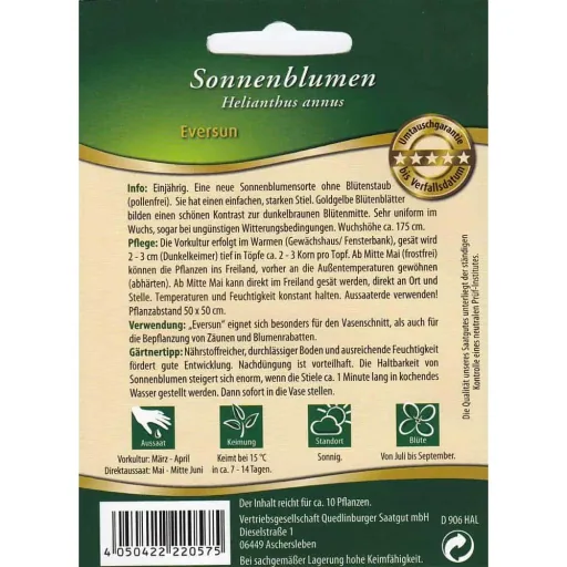Eversun Sunflower Seeds: Pollen-Free Annuals for Cutting