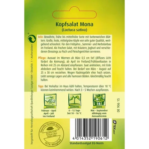 Mona Lettuce Seeds - Grow Fresh Head Lettuce
