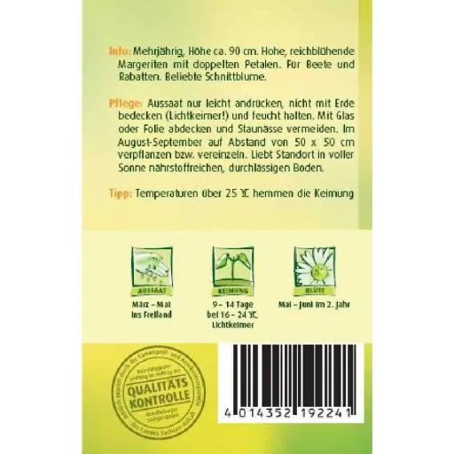 Buy White Daisy Plants - Mayfield Giant Perennial Daisies
