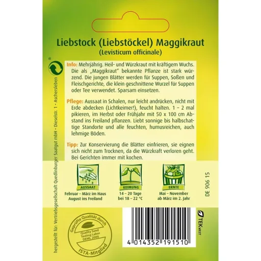 Lovage Seeds - Grow Your Own Maggi Herb
