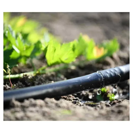 50m Drip Irrigation Watering System Set for Garden