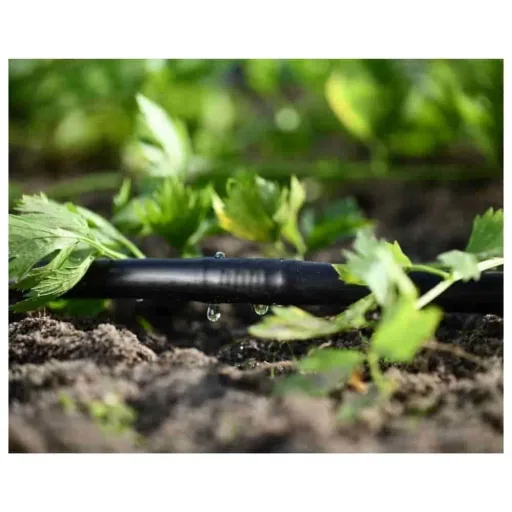 50m Drip Irrigation Watering System Set for Garden