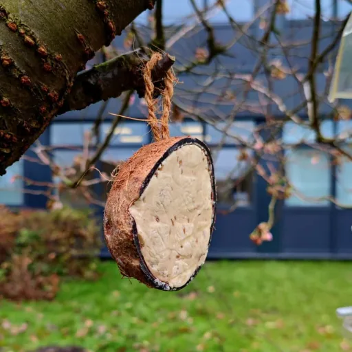 Coconut Shell 0.18kg Wild Bird Food Feeder - All-Natural Energy Boost
