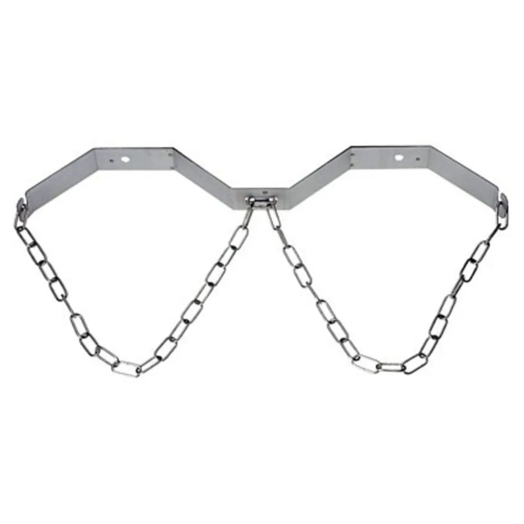 Cylinder holder, bottle holder for two CO2 - cylinders