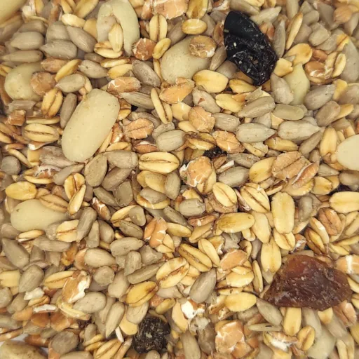 Wild Bird Food 20 kg, Premium Shell Free, Bird Seed, No Mess, Sunflower Seeds