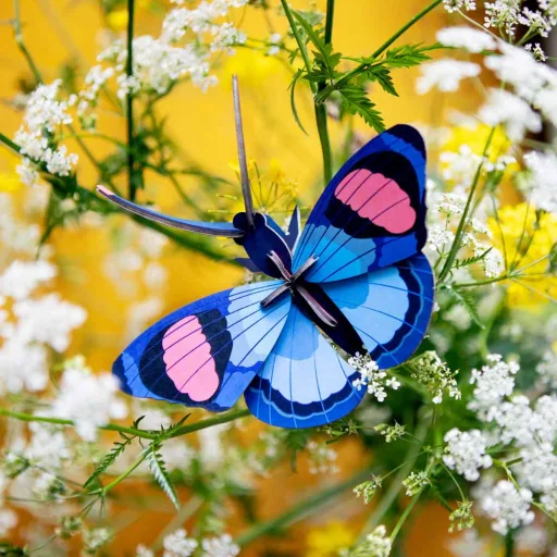 Studio Roof 3D butterfly blue cardboard