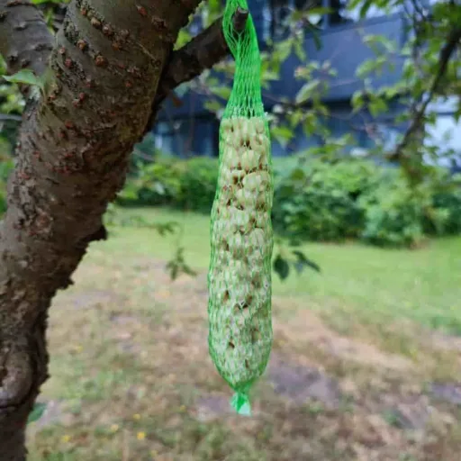 Wild Bird Food Peanut Sticks - 2 Pack