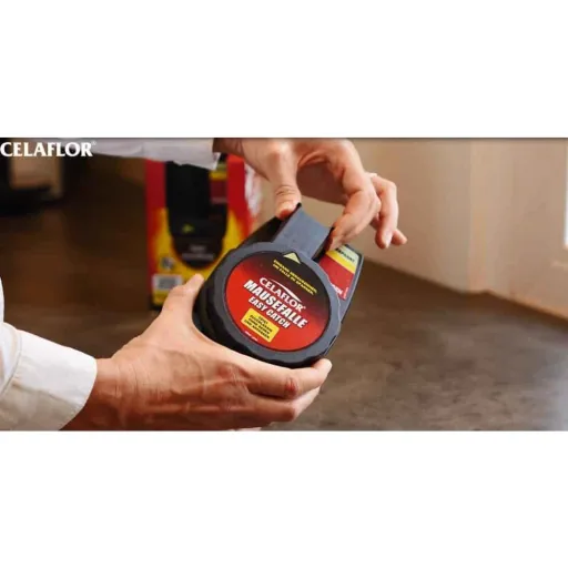 Easy Catch Mouse Traps - Safe & Humane Mouse Control