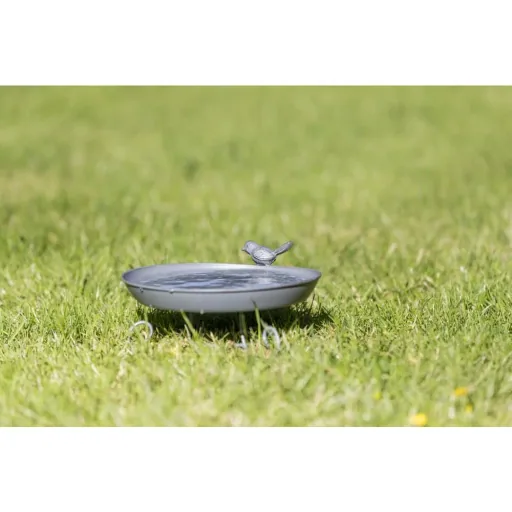 Standing Bird Bath - Garden Bird Bath with Stand