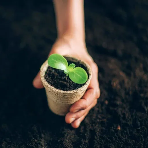 Compostable Plant Pots, 8x8 cm, Biodegradable Seed Starter Pots