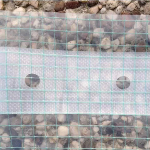 Reinforced Greenhouse Film with Nail Edge, 2m x 20m, UV Resistant