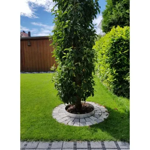 Alu Round Lawn Edging Height 140 mm Diameter 0.6 m | Garden edging