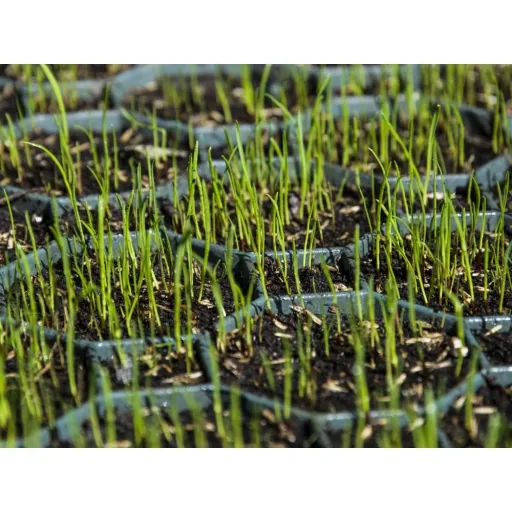 Lawn Grid Pavers - Recycled Plastic, Permeable, Driveway & Garden