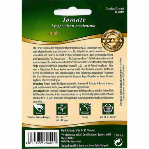 Intact F1 Tomato Plant: Disease-Resistant & High-Yielding