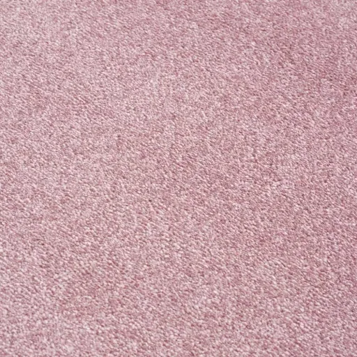 Livone carpet around university pink