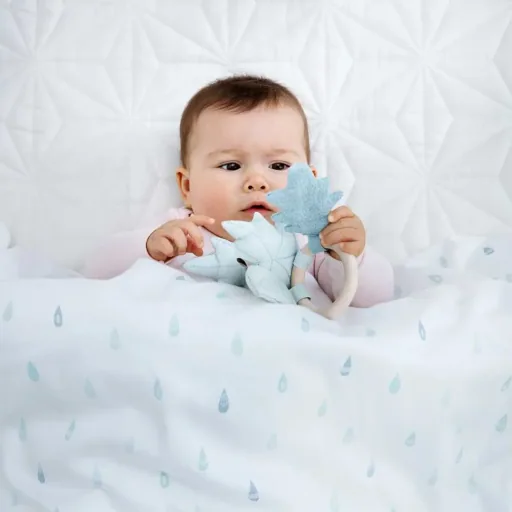 Cam cam baby rattles leaves blue