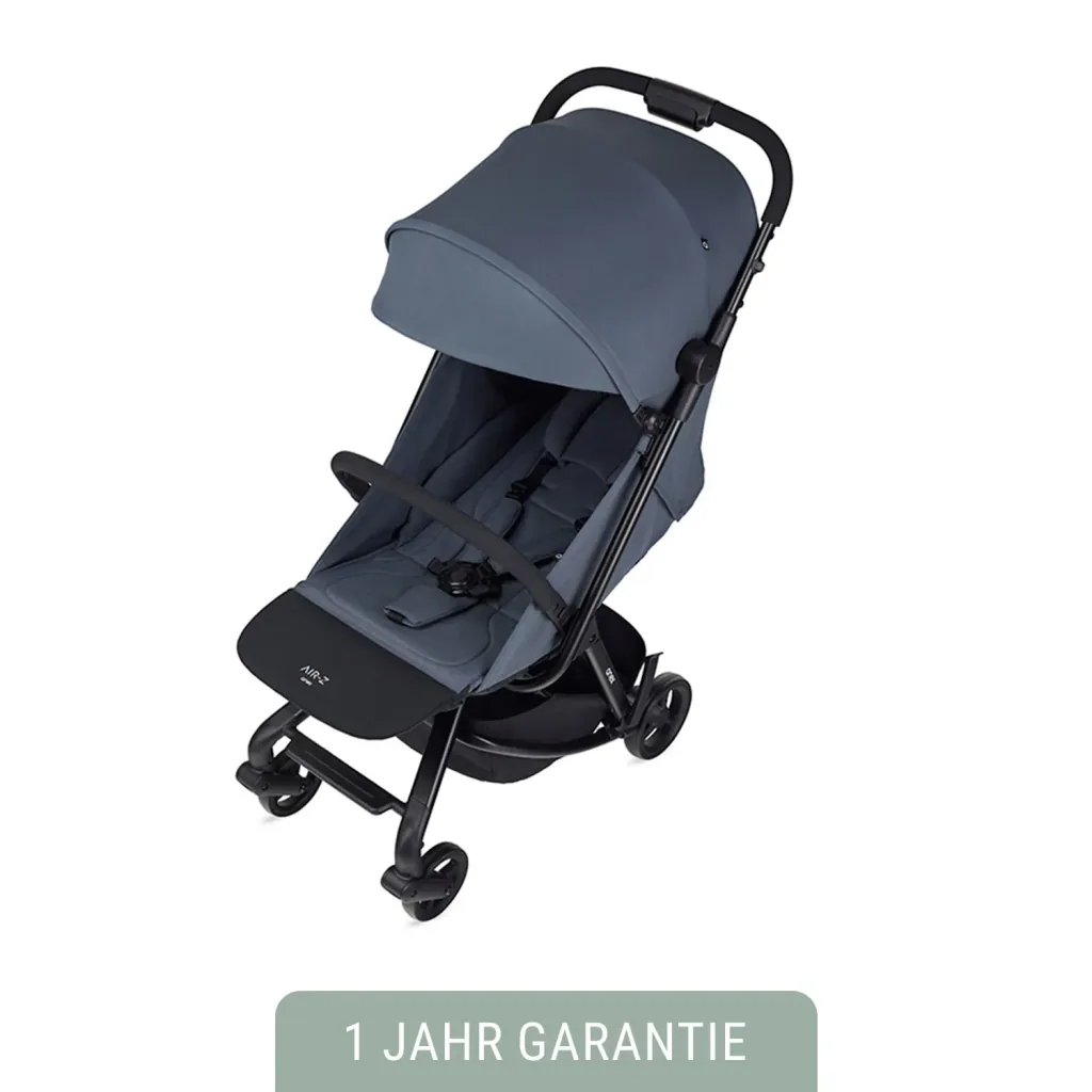 Anex Stroller- Air-Z, Color stroller: Storm