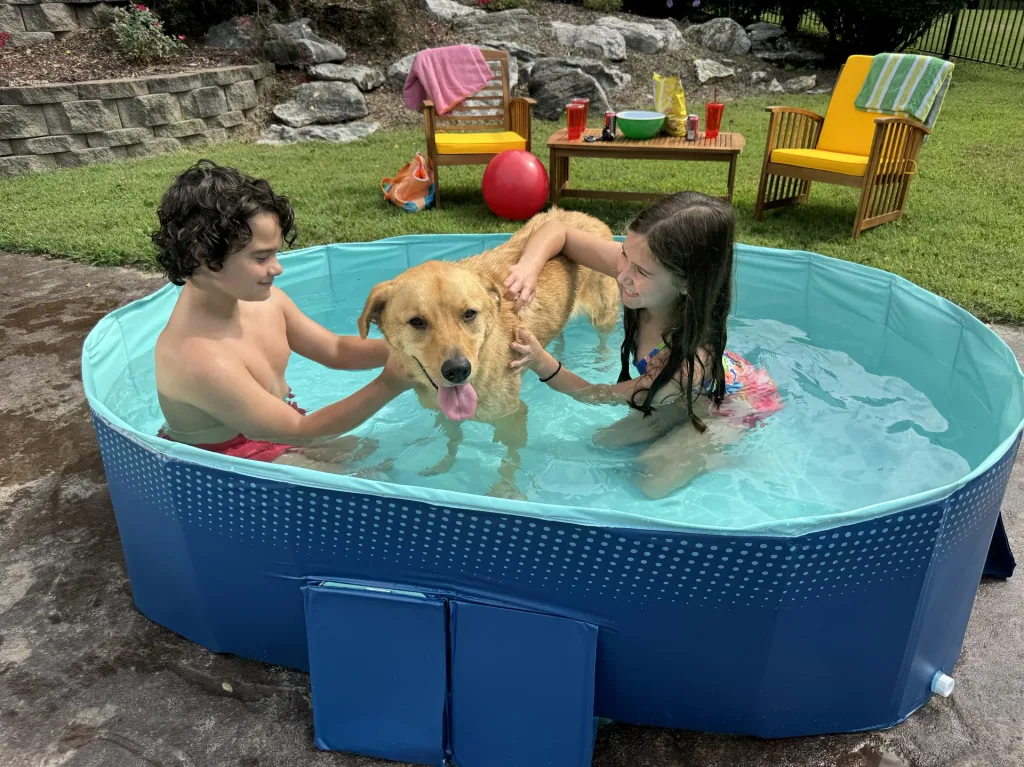 Foldable Pool Medium