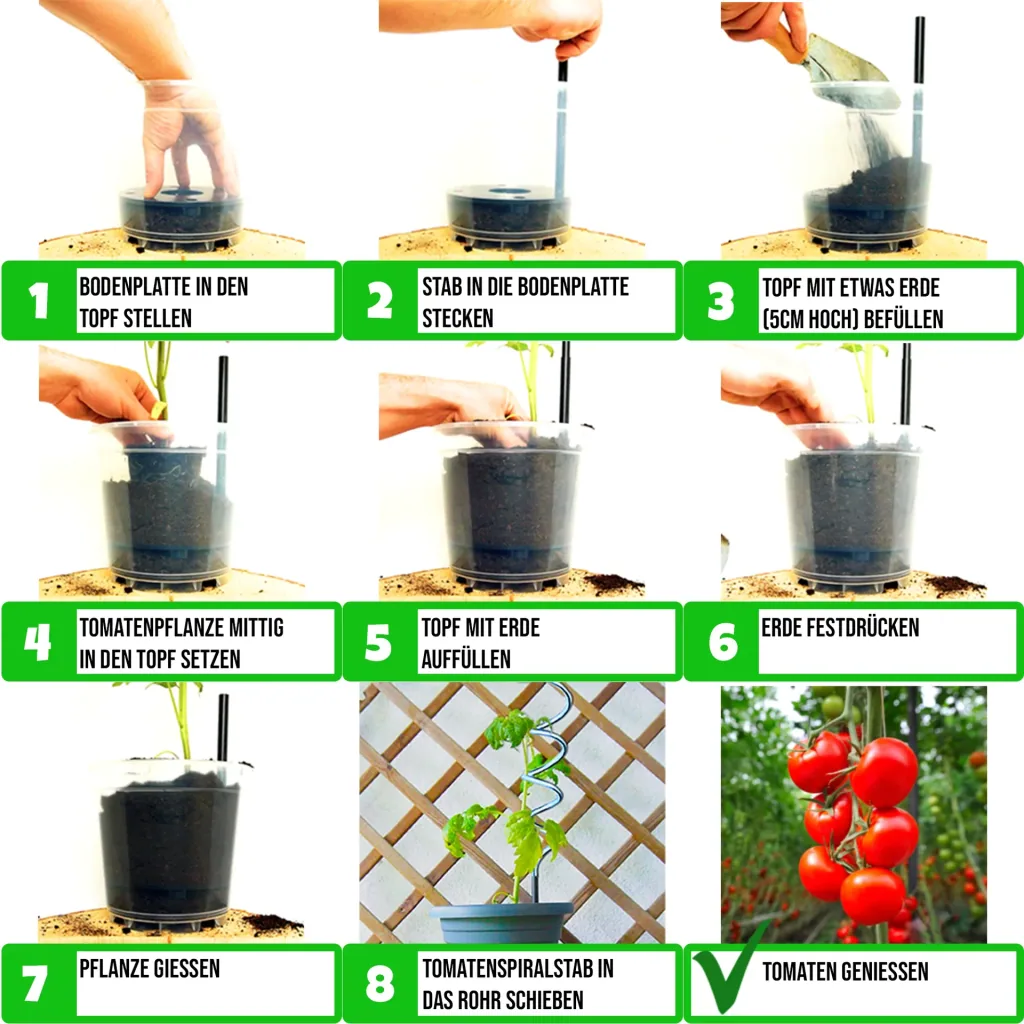 Tomato tanks, Set of 2