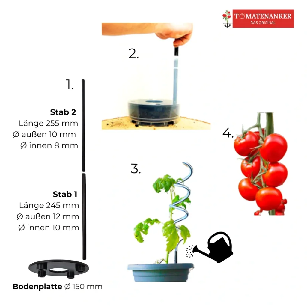 Tomato tanks, Set of 2