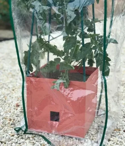 Net cover "Maxitom" for plant tower with trellis
